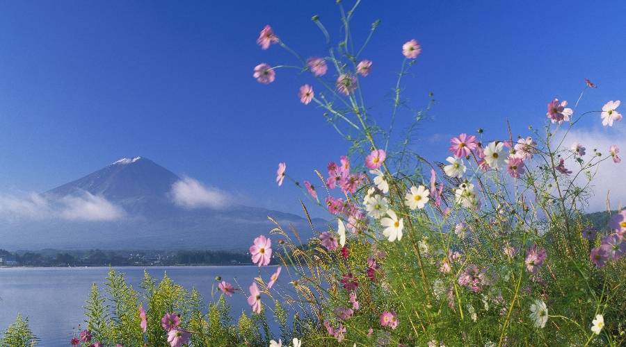 Mt. Fuji Japan Reise Origami in kleiner Gruppe
