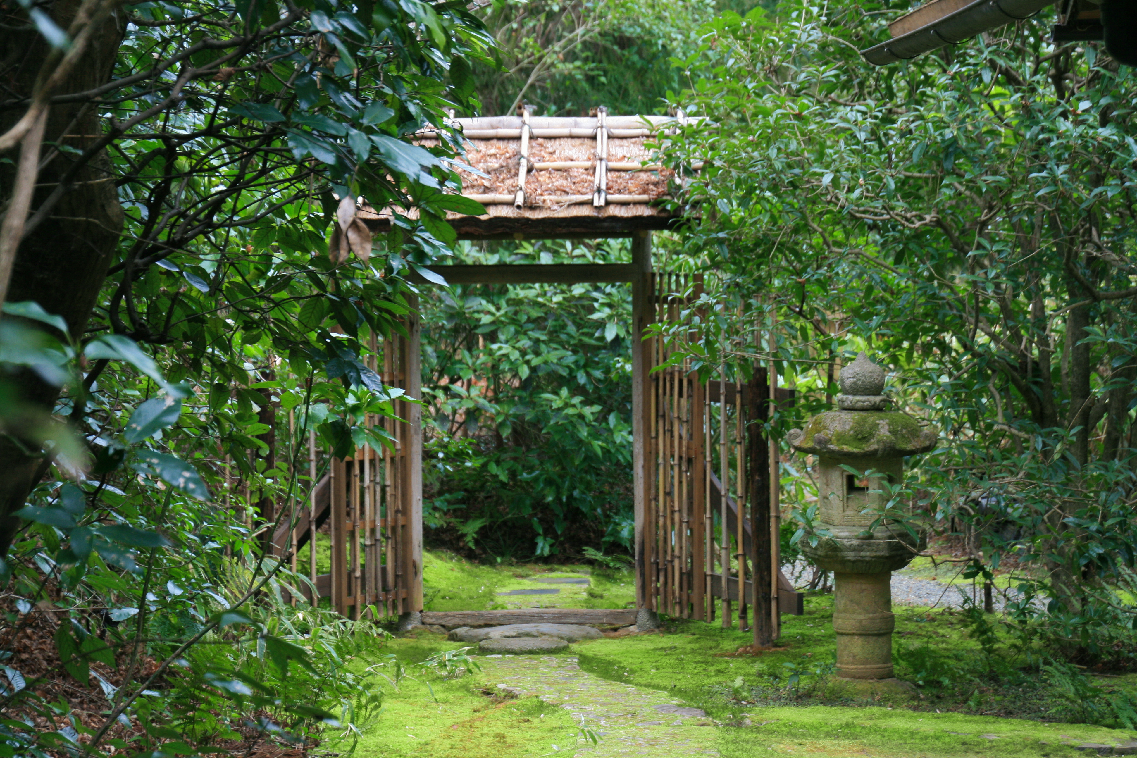 Moos-Tempel Arashiyama