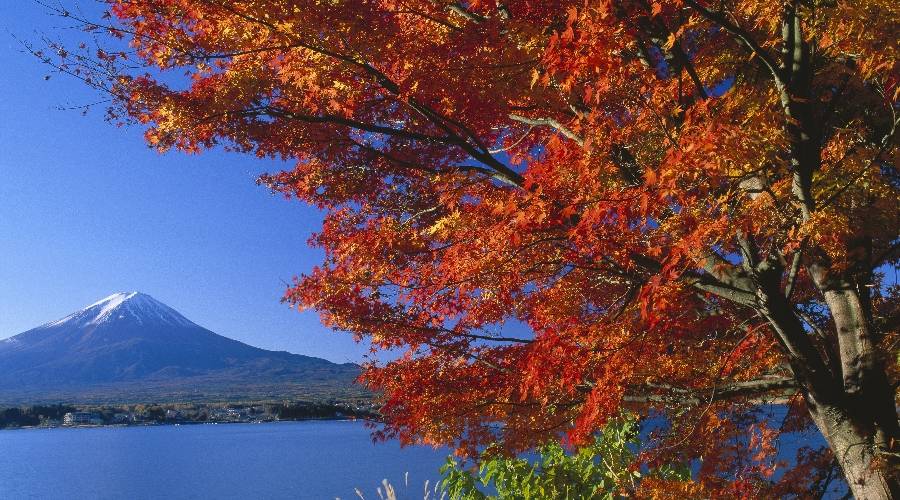 Japan Gruppenreise Herbstlaubfärbung mit Berg Fuji
