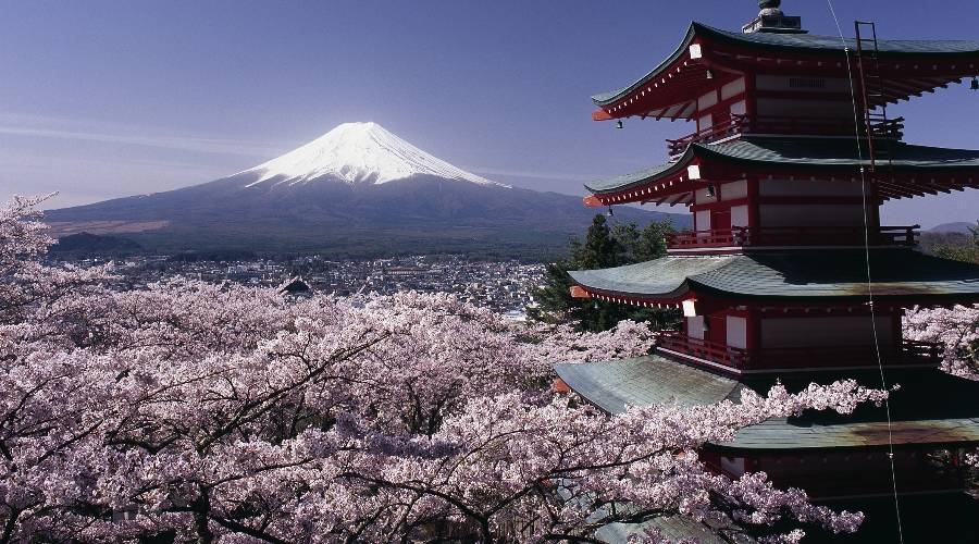 Japan Studienreise Ansicht des Mt. Fuji im Frühling