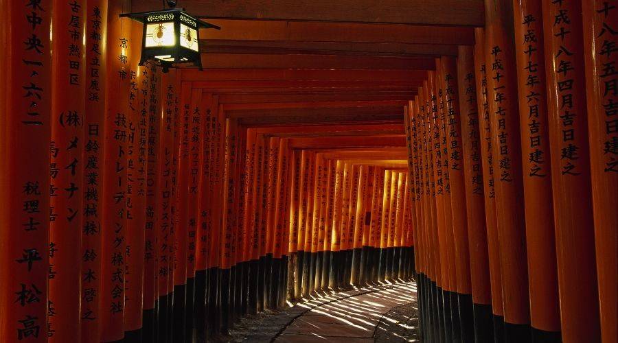 Japan Individuell: Fushimi Inari in Kyoto
