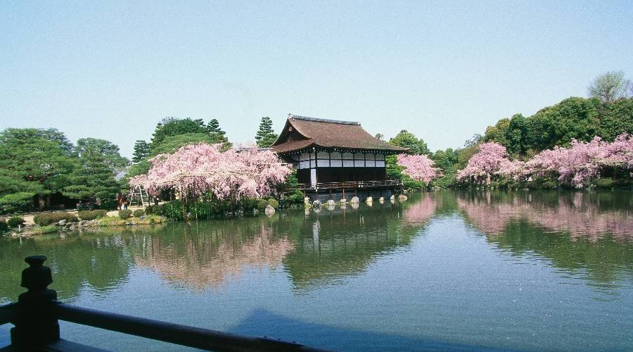 Japan Gruppenreise Kirschblüte in Kyoto, Heian Schrein
