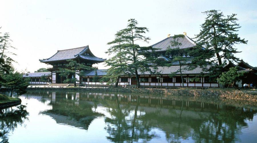 Todai-ji Tempel in Nara. Japan Kleingruppenrreise Unterwegs in Japan