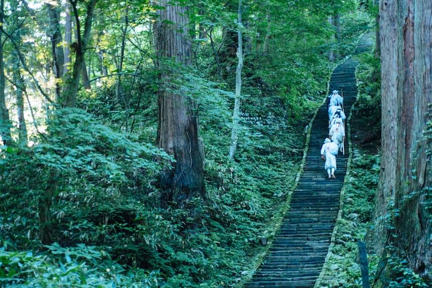 Waldmeditation